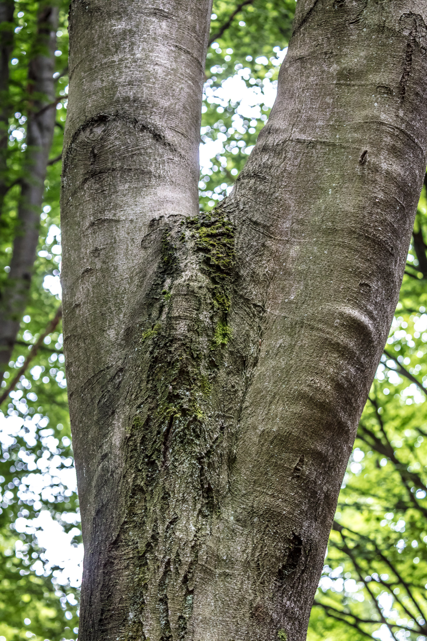 20210725102551 017912